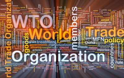 [OMC /WTO Craig VanGrasstek] : Histoire et avenir de l’Organisation mondiale du commerce